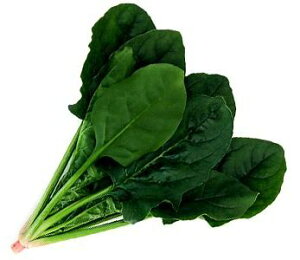 JlRc@zE\E ق񂻂 @@@V[^[@M3