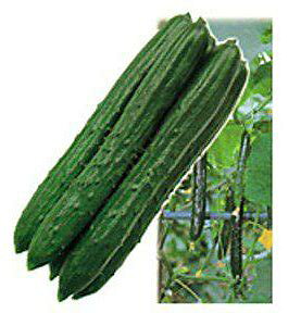 �J�l�R��c �L���E�� �ق�������121 350��