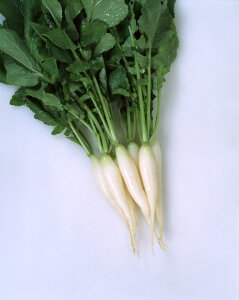 JlRc ncJ_CR \卪@zCg~j@