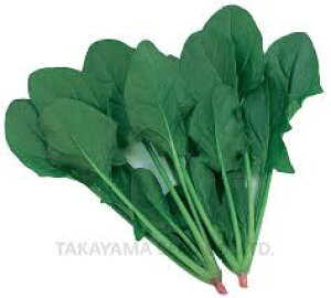  ^J}V[h zE\E AtH[h@@ 1dl