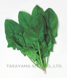  ^J}V[h zE\E ق񂻂 @@@T[h@1dl