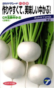  ^J}V[h Ju CRʗ钆 