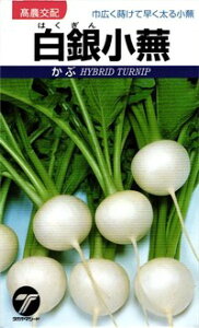 たね タカヤマシード カブ 白銀小蕪 小袋