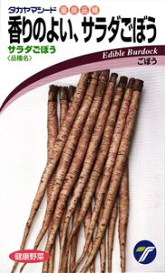 たね タカヤマシード ゴボウ ごぼう サラダごぼう 20ml