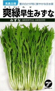  ^J}V[h ~Yi  uΑ݂ 20ml