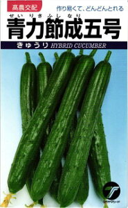  ^J}V[h LE ͐ߐ܍ 20ml