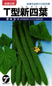  ^J}V[h LE T^Vlt 20ml