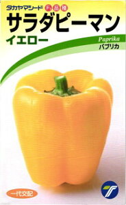  ^J}V[h pvJ T_s[}iCG[j@250