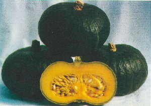  c J{` Z ڂ@@100