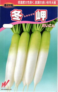 nӔ_ _CR 卪 ~iӂ݂j1