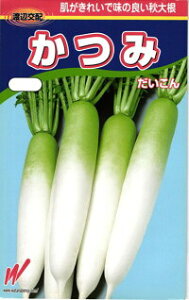 nӔ_ _CR 卪  1000