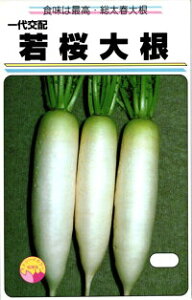 nӔ_ _CR 卪  20ml
