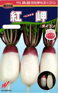 nӔ_ _CR 卪 giׂɂ݂j2dl