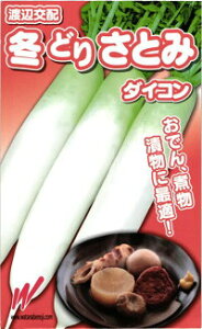 nӔ_ _CR 卪 ~ǂ肳Ƃ 2dl