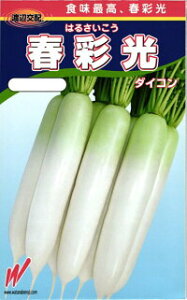 nӔ_ _CR 卪 tʌi͂邳jR[g5000