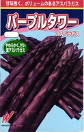 渡辺農事 アスパラガス パープルタワー 小袋