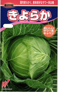 nӔ_ Lxc 炩 
