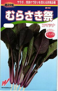 nӔ_ R}ci  ނ炳 