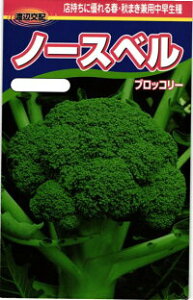 渡辺農事 ブロッコリー ノースベル 小袋