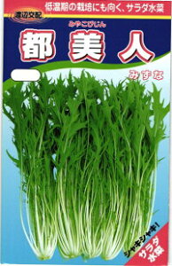 nӔ_ ~Yi  li傤тj1dl