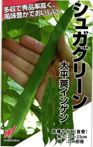 nӔ_ CQ 񂰂 VKO[ 1dl