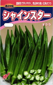 渡辺農事 オクラ シャインスター (NX-AE801) 小袋