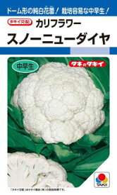 タキイ種苗 カリフラワー スノーニューダイヤ 20ml