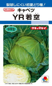 ^LCc Lxc YR ybg L5000