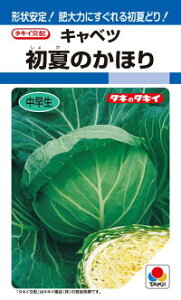 ^LCc Lxc Ă̂ق 2000