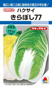 ^LCc nNTC  ڂ77 ybg L5000