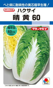^LCc nNTC  60 ybg L5000