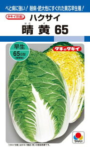^LCc nNTC  65 ybg L5000