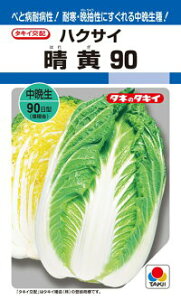 ^LCc nNTC  90 20ml