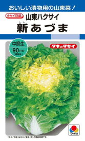 タキイ種苗 ハクサイ 白菜 新あづま DF