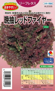 ^LCc ^X Ӓbht@C[ ybg L5000