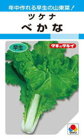 タキイ種苗 葉菜 べかな 1dl