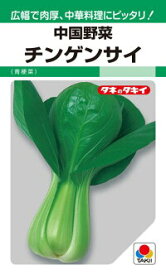 タキイ種苗 中国野菜 チンゲンサイ（青梗菜）MF