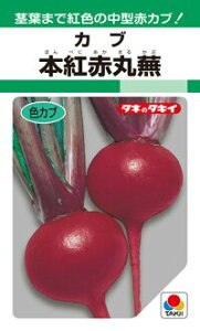 赤 カブ 種の人気商品 通販 価格比較 価格 Com 赤 カブ 種の人気商品 通販 価格比較 価格 Com
