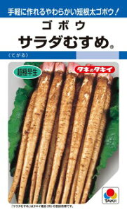 タキイ種苗 ゴボウ サラダむすめ(てがる)1dl