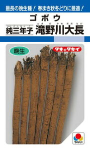 タキイ種苗 ゴボウ 純三年子滝野川大長 GF
