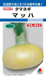 ^LCc ^}lM ʔK }bn 2dl