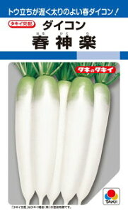 ^LCc _CR 卪 t_y ybg 3L 5000