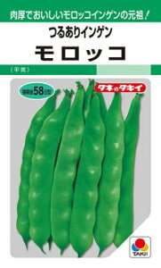 �^�L�C��c �C���Q�� ���񂰂� �����b�R GF