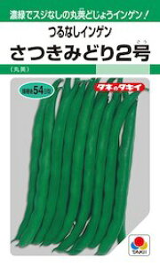 ^LCc CQ 񂰂 ݂ǂ2 GF