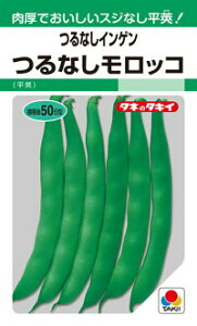 ^LCc CQ 񂰂 ȂbR GF