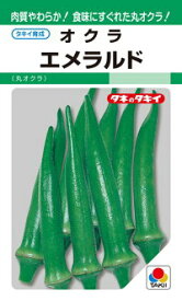 タキイ種苗 オクラ エメラルド 1000粒