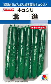 楽天市場 キュウリ 北進の通販