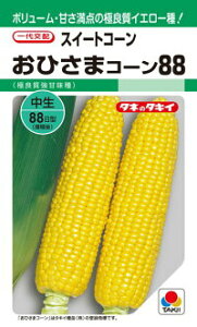 ^LCc XC[gR[ Ђ܃R[88 GF