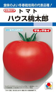 ^LCc g}g nEXY 1000 PVP