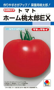 ^LCc g}g z[YEX 1000